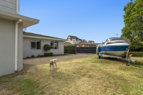 Photo of property in 6 Terrace Avenue, Mount Maunganui, 3116