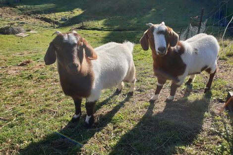 Photo of property in 42 Corbett Drive, Minden, Tauranga, 3176