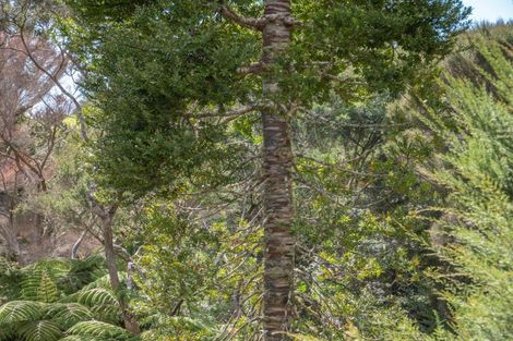 Photo of property in 9 Amelie Place, Coopers Beach, 0420