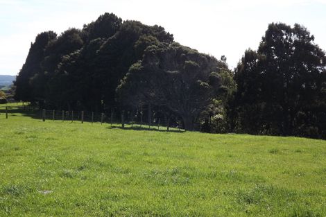 Photo of property in 669b Te Hutewai Road, Raglan, 3296