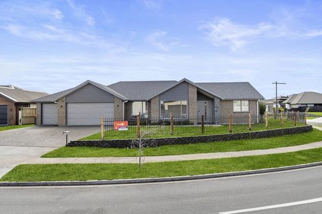 Photo of property in 2 Sydney Place, Flagstaff, Hamilton, 3210