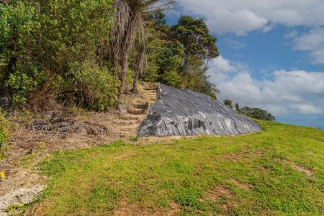 Photo of property in 1137 Purangi Road, Ferry Landing, Whitianga, 3591