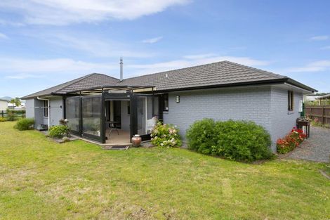 Photo of property in 97 Parekaawa Drive, Motuoapa, Turangi, 3382