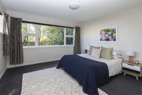 Photo of property in 48 Mcbratneys Road, Dallington, Christchurch, 8061