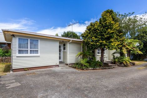 Photo of property in 191 Te Rangitautahanga Road, Turangi, 3334