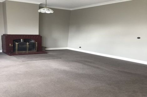 Photo of property in 35 Leslie Street, Waiau, 7332