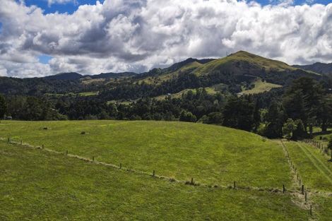 Photo of property in 55 County Road, Paeroa, 3674