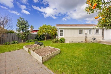 Photo of property in 40 Southwark Avenue, Tamatea, Napier, 4112