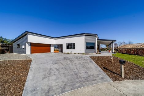 Photo of property in 10 Apatu Place, Waipukurau, 4200