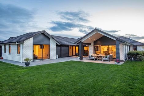 Photo of property in 50 Roy Hilton Drive, Flagstaff, Hamilton, 3210