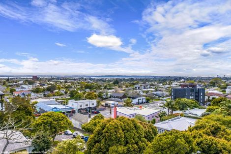Photo of property in 29 Lloyd Avenue, Mount Albert, Auckland, 1025