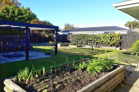 Photo of property in 17 Springbank Street, Bryndwr, Christchurch, 8053