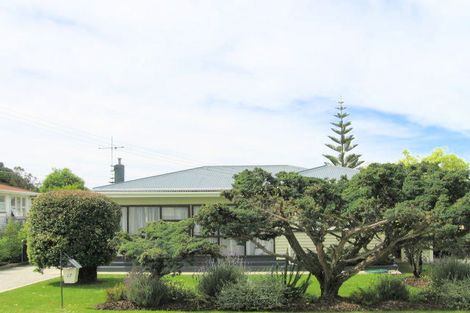 Photo of property in 17 Elm Street, Mangapapa, Gisborne, 4010
