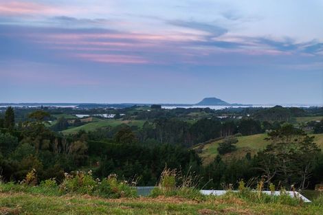 Photo of property in 371 Esdaile Road, Whakamarama, Tauranga, 3180