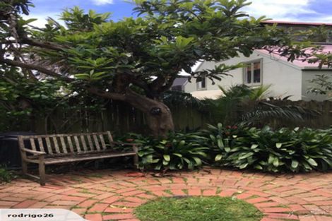 Photo of property in 1b Allen Road, Grey Lynn, Auckland, 1021
