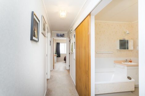 Photo of property in 103 Salisbury Street, Ashhurst, 4810