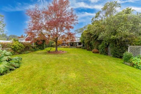 Photo of property in 43 Stewart Street, Waikouaiti, 9510