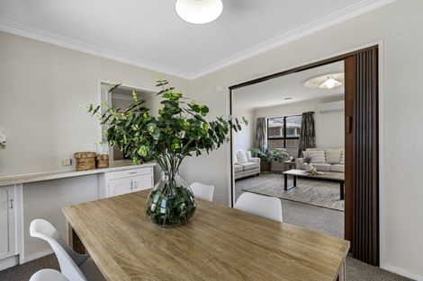 Photo of property in 111 Kings Avenue, Matua, Tauranga, 3110