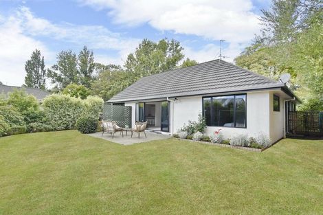Photo of property in 303 Ashgrove Terrace, Somerfield, Christchurch, 8024