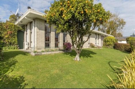 Photo of property in 5 Heron Avenue, Matua, Tauranga, 3110