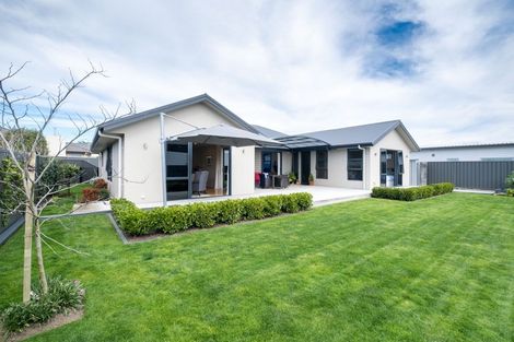Photo of property in 8 Devine Close, Havelock North, 4130