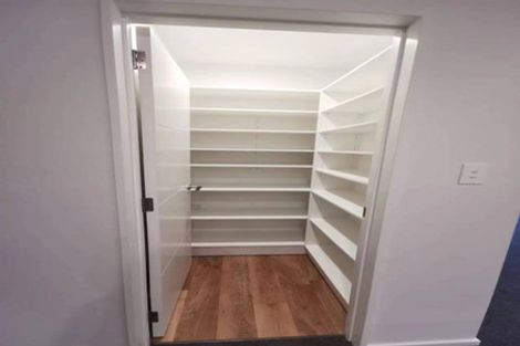 Photo of property in 20 Te Kanawa Lane, Rolleston, 7615