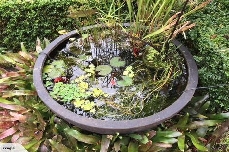 Photo of property in 1 Haines Terrace, Aro Valley, Wellington, 6021