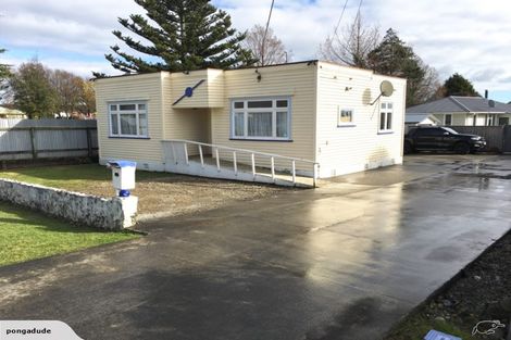 Photo of property in 81 Parker Avenue, Levin, 5510