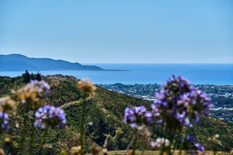 Photo of property in 46 Eucalyptus Way, Nikau Valley, Paraparaumu, 5032