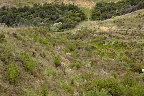 Photo of property in 43 Haul Road, Tahekeroa, Kaukapakapa, 0873