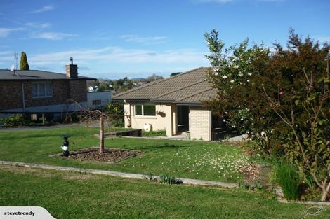 Photo of property in 241 Te Tomo Street, Te Awamutu, 3800