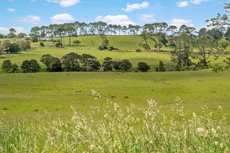 Photo of property in 522 Wainui Road, Wainui, Silverdale, 0992