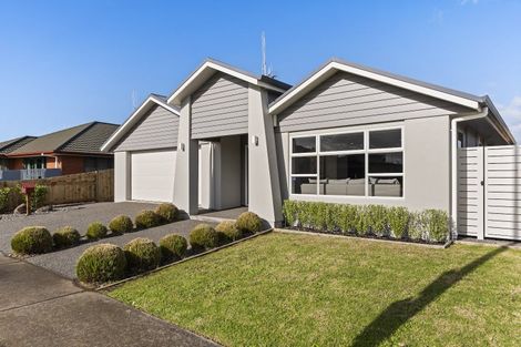 Photo of property in 304 Carmichael Road, Brookfield, Tauranga, 3110
