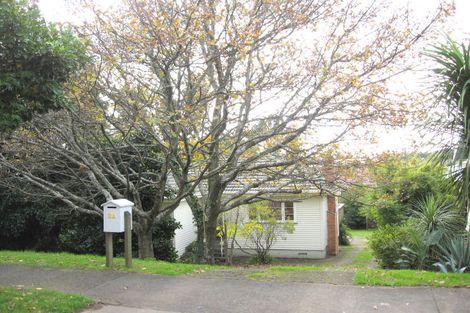 Photo of property in 2 Keystone Avenue, Mount Roskill, Auckland, 1041