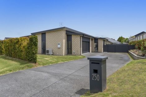 Photo of property in 250 Hamurana Road, Omokoroa, 3114