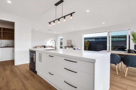 Photo of property in 55 Whitehorn Drive, Lincoln, 7608