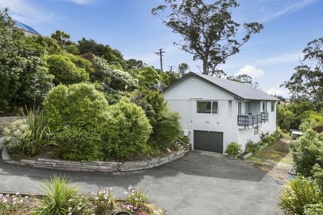 Photo of property in 17 Rotoiti Street, Maia, Dunedin, 9022
