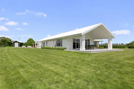 Photo of property in 43 Kerr Road, Te Poi, Matamata, 3473