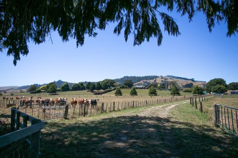 Photo of property in 4/11 Fencourt Road, Cambridge, 3496