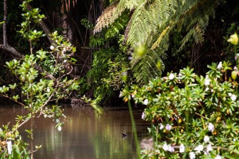 Photo of property in 73c Heta Road, Highlands Park, New Plymouth, 4312