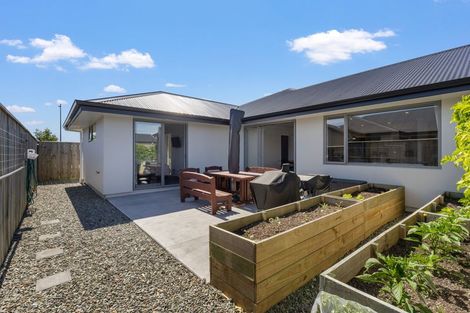 Photo of property in 6 Lampton Street, Richmond, 7020