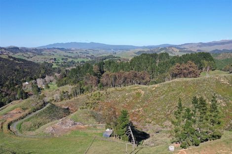 Photo of property in 128c Otonga Valley Road, Raglan, 3295