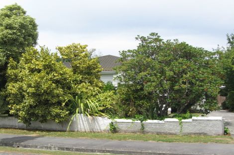 Photo of property in 100 Chapter Street, St Albans, Christchurch, 8052
