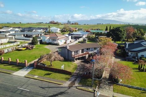 Photo of property in 460 Pakura Street, Te Awamutu, 3800