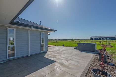Photo of property in 455e Taonui Road, Colyton, Feilding, 4775
