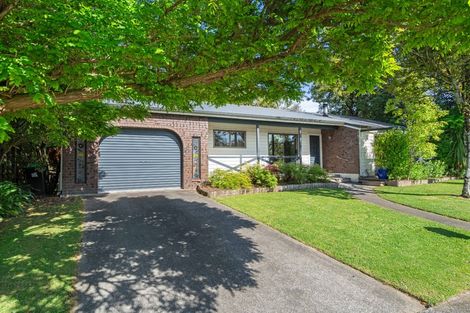 Photo of property in 21 Liverpool Street, Solway, Masterton, 5810
