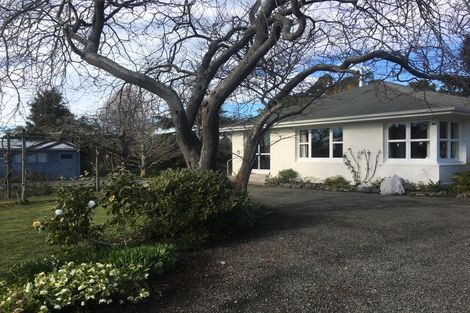 Photo of property in 77 Mill Road, Waimate, 7924