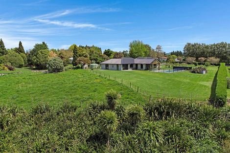 Photo of property in 55 Gasson Lane, Pyes Pa, Tauranga, 3173