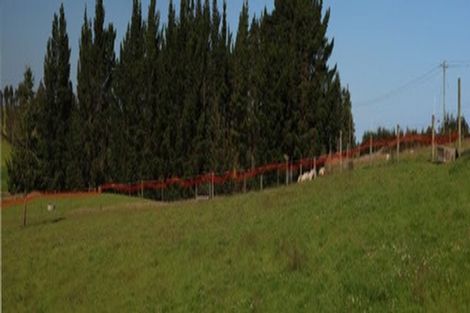 Photo of property in 290 Old Port Road, Warepa, Balclutha, 9273