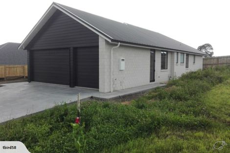 Photo of property in 9 Charlotte Drive, Omokoroa, 3114